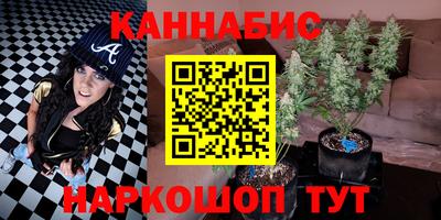 спайс Моздок