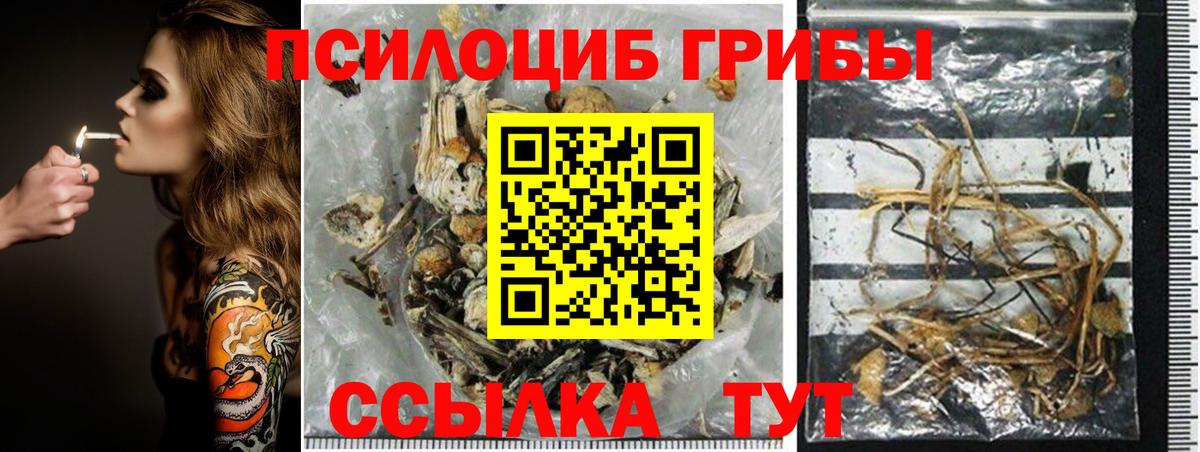 Галлюциногенные грибы Magic Shrooms Усинск